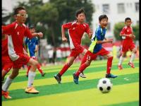 圣保利vs沃尔夫斯堡直播_圣保利vs沃尔夫斯堡免费高清在线直播_圣保利vs沃尔夫斯堡免费直播视频直播